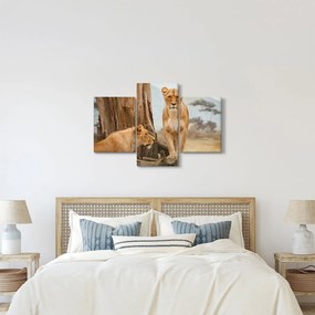 Obraz - dve levice (90x60 cm)