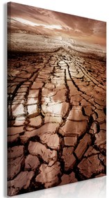 Artgeist Obraz - Drought (1 Part) Vertical Veľkosť: 60x90, Verzia: Premium Print