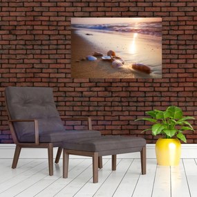 Obraz - Mušle (90x60 cm)