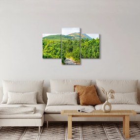 Obraz - Babi Hora, Poľsko (90x60 cm)
