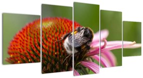 Obraz včely na kvete