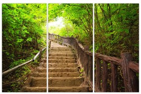 Schody v lese - obraz