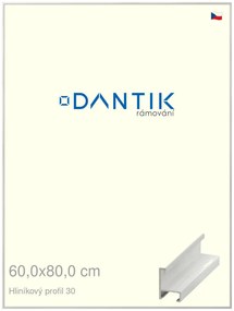 DANTIK rám na obraz 60x80 | ALU Dýha bílá (Plexi Čiré)