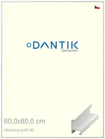 DANTIK rám na obraz 60x80 | ALU Dýha bílá (Plexi Čiré)