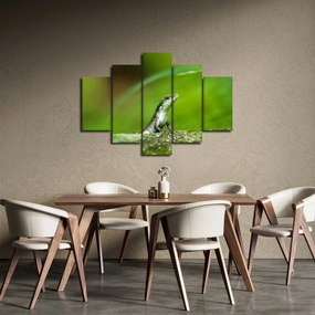 Obraz jašteričky (150x105 cm)