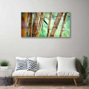 Obraz na akrylátovom skle Bambus príroda rastlina 100x50 cm