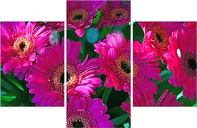 Obraz - kvety (90x60 cm)