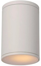 Lucide 27870/01/31 - Kúpeľňové stropné svietidlo TUBIX 1xE27/24W/230V IP54