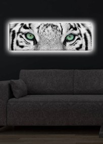 Obraz s led osvetlením White Tiger 90x30 cm