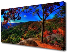Obraz na plátne Hora les príroda 140x70 cm