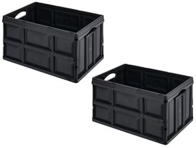 W5 Skladacia prepravka, 62 l, 2 kusy  (800010777)