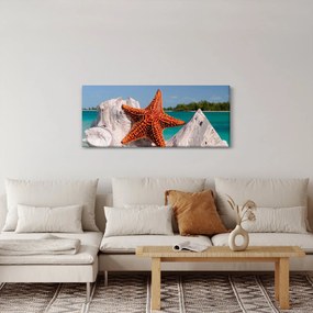Obraz morskej hviezdice (120x50 cm)