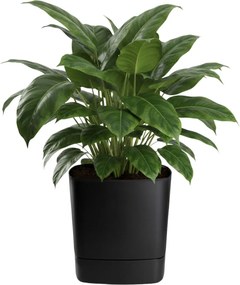 PLASTOVÝ KVETINÁČ CUBI 34X36,5 CM ČIERNA