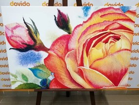 Obraz ruže v ružových odtieňoch - 90x60