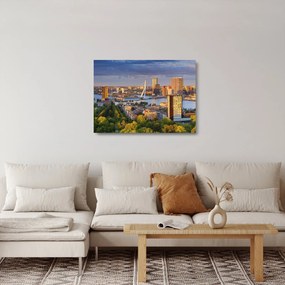 Sklenený obraz - Panorama Rotterdamu, Holandsko (70x50 cm)