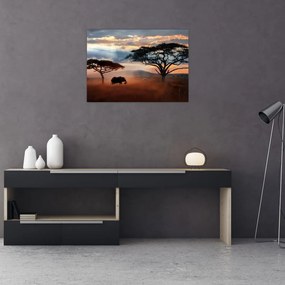 Obraz - Národný park Serengeti, Tanzánia, Afrika (70x50 cm)