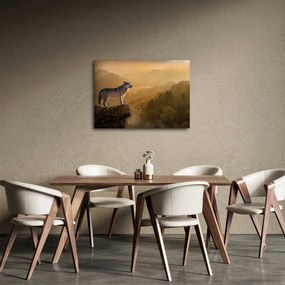 Obraz vlka na skale (70x50 cm)