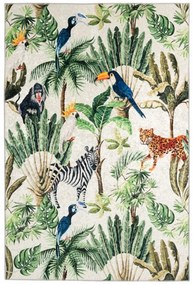 Obsession, Kusový koberec Exotic 213 multi, 120x170, viacfarebná, obývacia izba