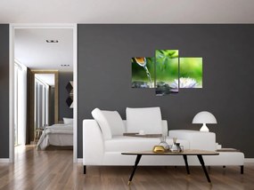 Obraz - Lotus (90x60 cm)