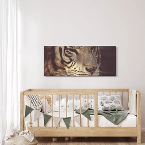 Obraz tigra (120x50 cm)