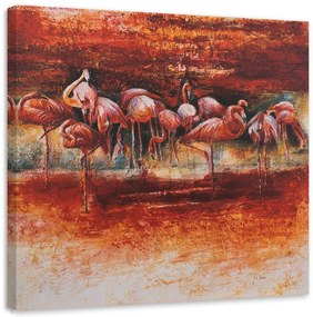 Obraz na plátně Plameňáci růžoví ptáci - 50x50 cm