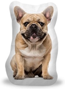 Sablio 3D vankúš Francúzsky buldoček 3
