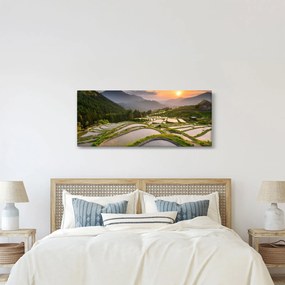 Obraz - Ryžové terasy (120x50 cm)