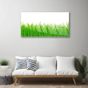 Skleneny obraz Tráva rastlina príroda 125x50 cm