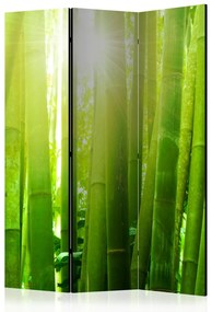 Artgeist Paraván - Sun and bamboo [Room Dividers]