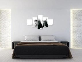 Obraz čiernobielych kvetov