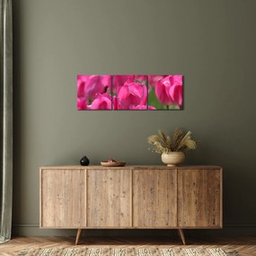 Obraz - Ružové tulipány (s hodinami) (90x30 cm)