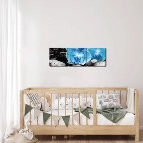 Obraz - Modrá orchidea (s hodinami) (90x30 cm)