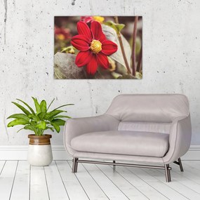 Sklenený obraz kvetiny (70x50 cm)
