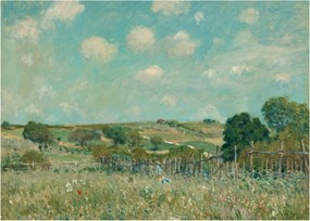 Sklenený obraz - Alfred Sisley,  Meadow, reprodukcia (70x50 cm)