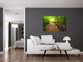 Obraz - Schody v prírode (90x60 cm)