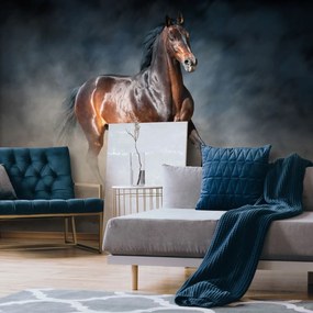 Fototapeta - Hnedý kôň (254x184 cm)