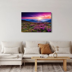 Obraz - Horská rozkvitnutá krajina (90x60 cm)