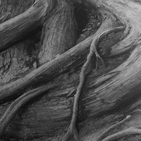 Obraz - Korene stromu (120x50 cm)