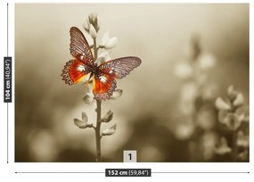 Fototapeta Vliesová Motýľ kvety 152x104 cm
