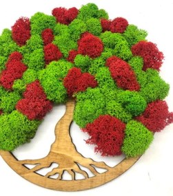 Strom na stenu z machu Parisa 20 cm