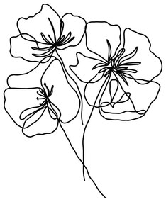 Plagát 29x41 cm Black Poppy – Veronika Boulová