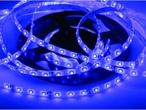 ECOLIGHT LED pásik - SMD 2835 - 5m - 60LED/m - 4,8 W/m - IP65 - modrý