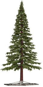 Vianočný stromček Borovica extra do interiéru 500cm