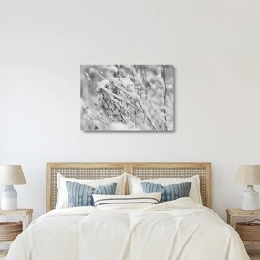 Sklenený obraz - Zasnežené vetvy (70x50 cm)