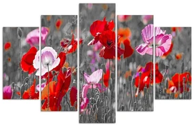 Gario Obraz na plátne Maky na jarnej lúke - 5 dielny Rozmery: 150 x 100 cm