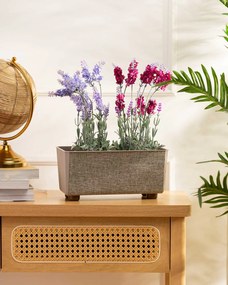 PLASTOVÝ KVETINÁČ SALVIA TX 28,5X17 CM BÉŽOVÁ