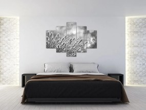 Obraz - Béžová soft grass N⁰1 (150x105 cm)