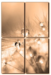 Obraz na plátne - Dandelion z kvapkami rosy - obdĺžnik 7262FE (120x80 cm)