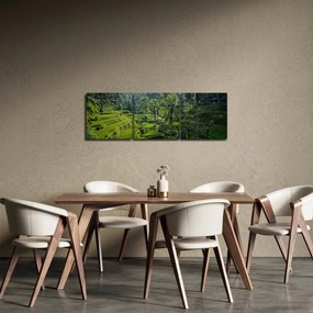 Obraz ryžových terás Tegalalang, Bali (s hodinami) (90x30 cm)