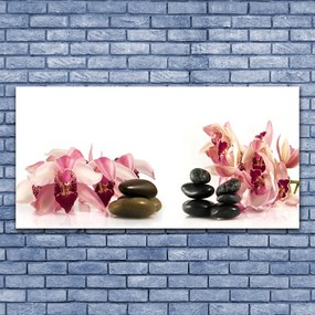 Obraz na akrylátovom skle Kvet kamene umenie 120x60 cm